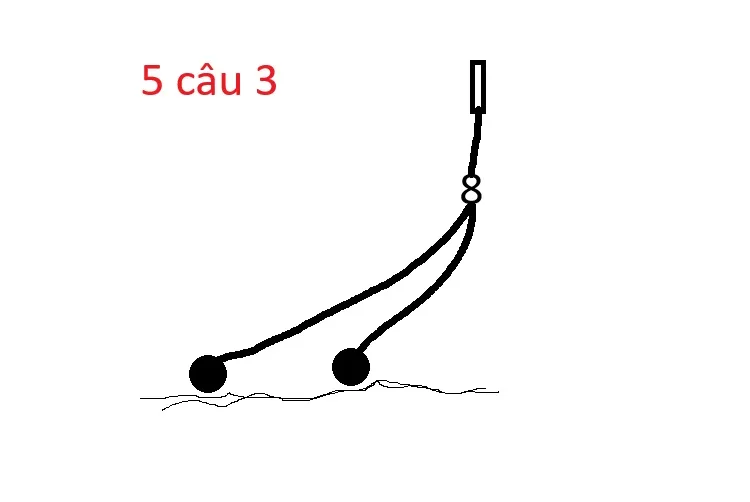 Cân phao câu cá 5 câu 3