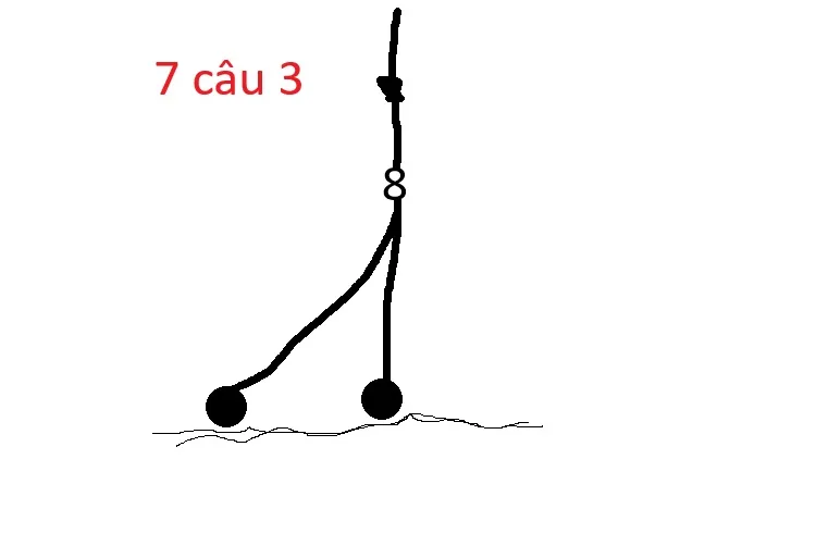 Cân phao câu cá