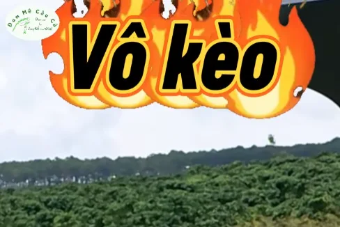 Lên kèo thôi ae! chấp 1 sừng nè.